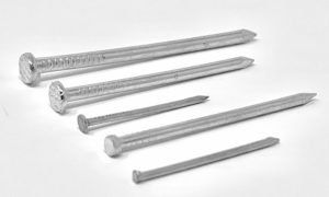 Different sizes of nails