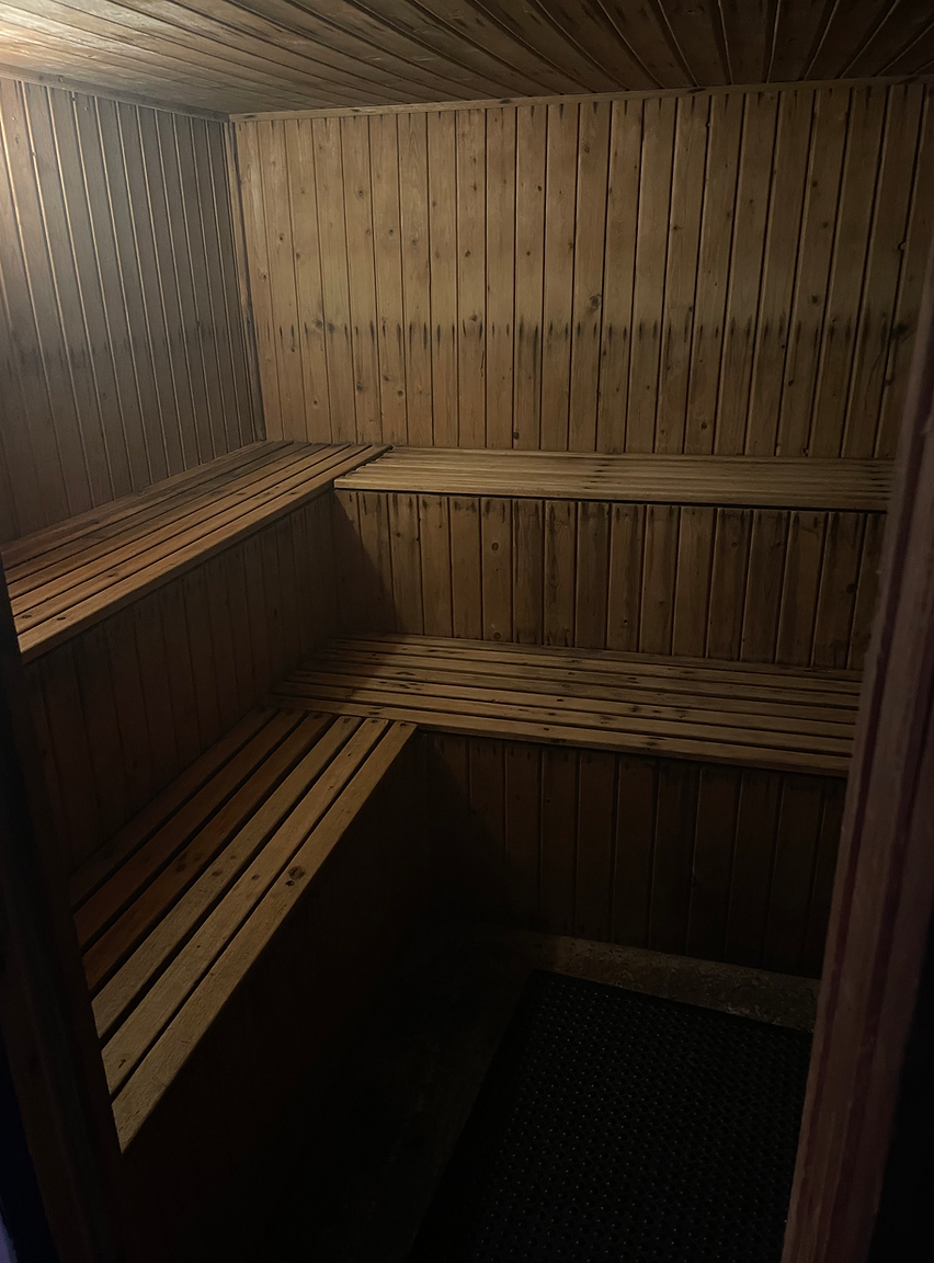 Hot Sauna .png