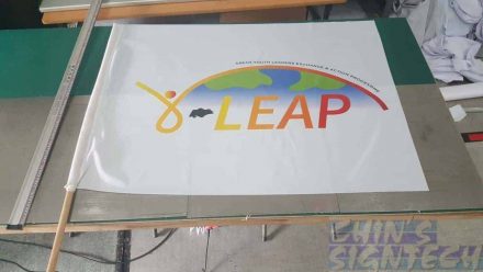 Flag printing for LEAP