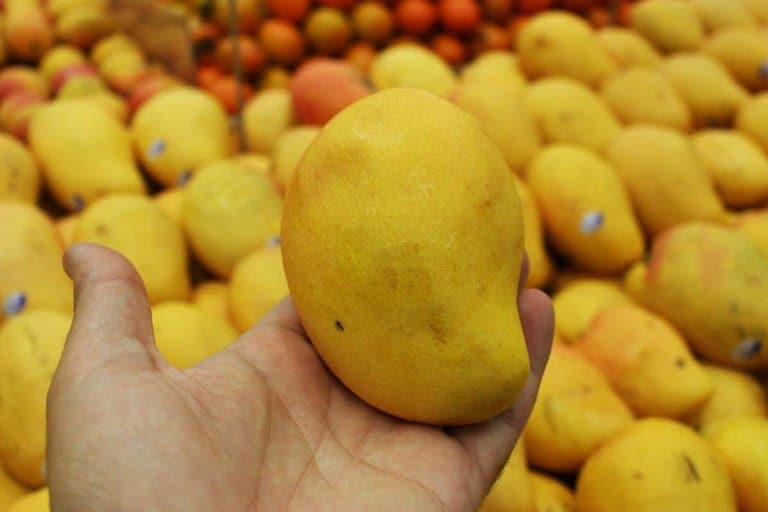A Guide On How To Tell If A Mango Is Ripe - Food Champs