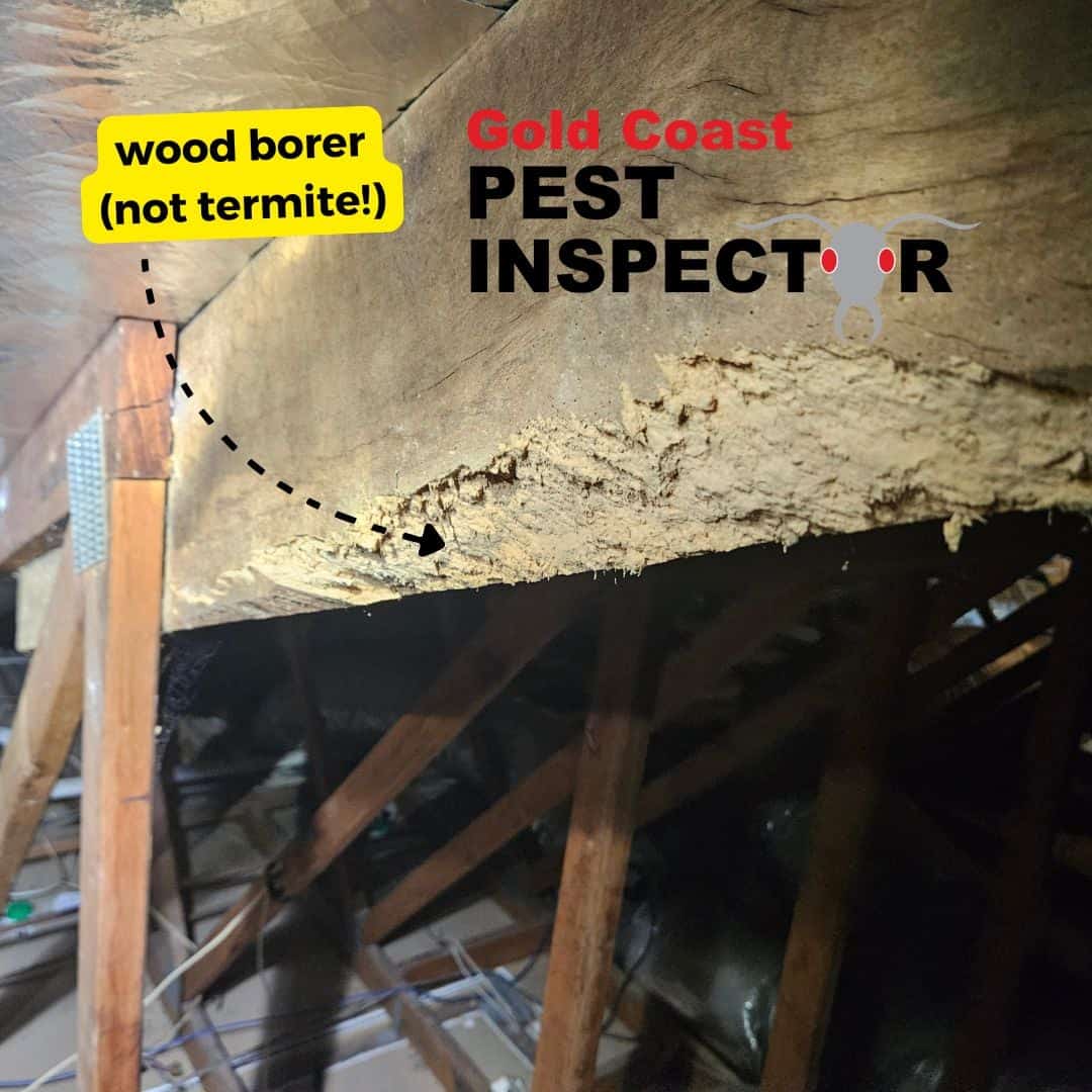 Wood borer