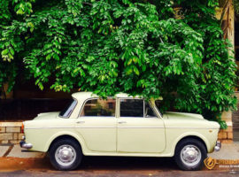 How to Remove Tree Sap from Nano Ceramic Coated Car?