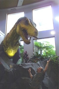 Dinosaurs walked on tippie toes.