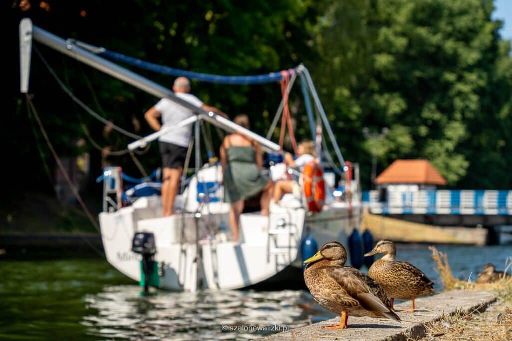 zamki gotyckie na Warmii i Mazurach