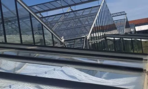 Gülez Gewächshausverglasung