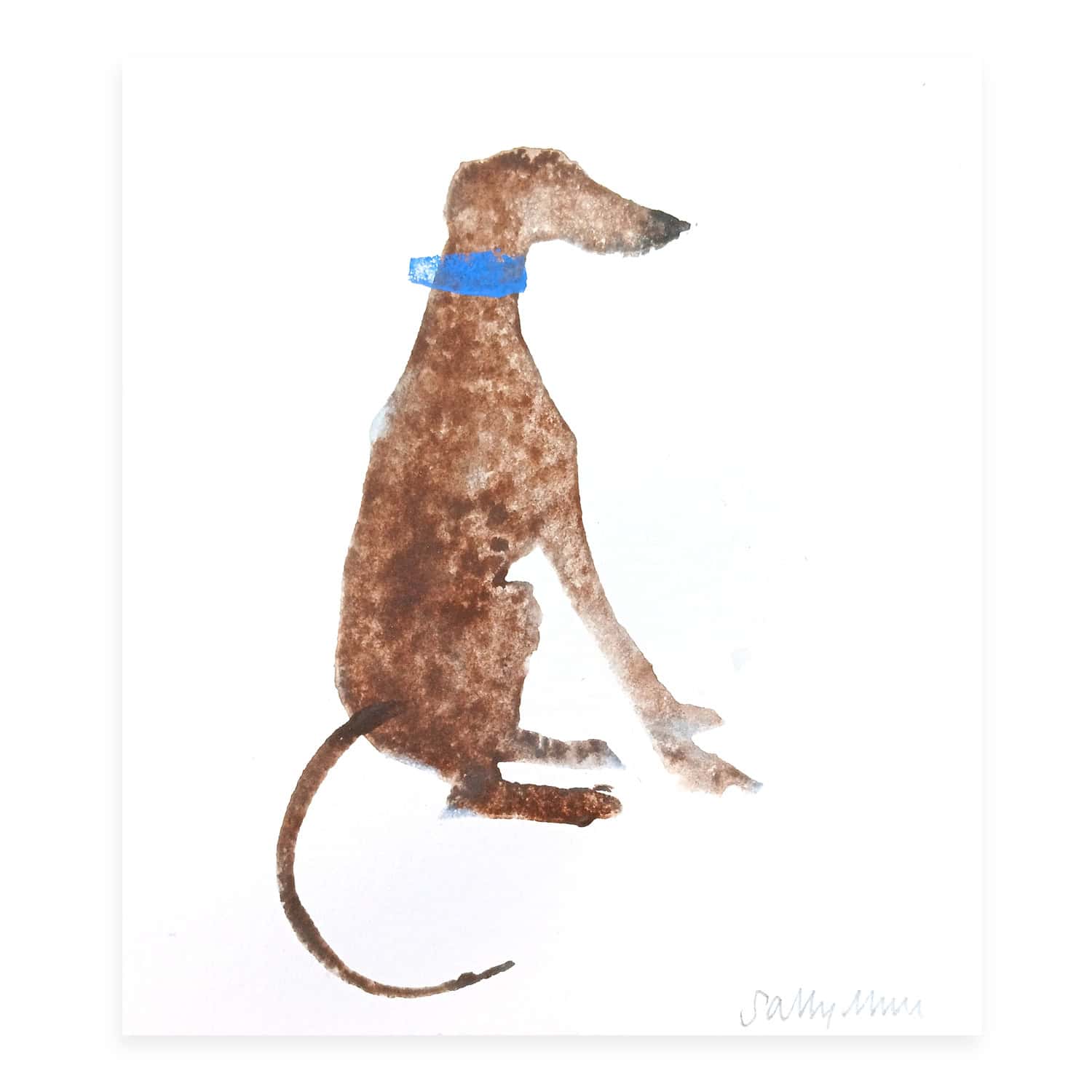 4704 Brown Dog with Blue Collar – Sally Muir