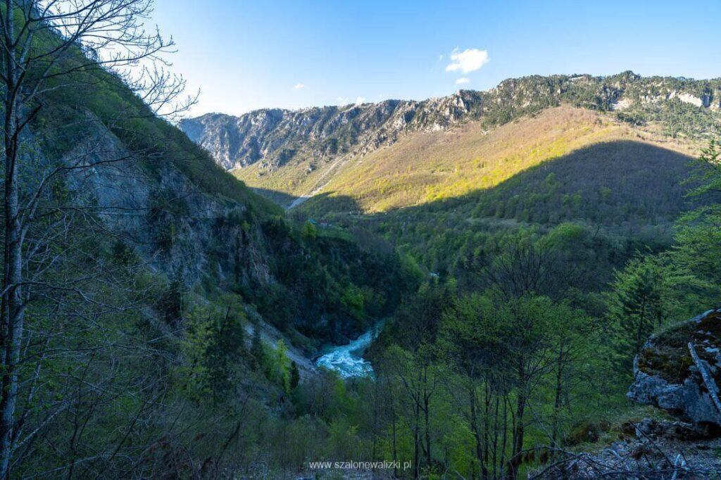 kanion rzeki tara