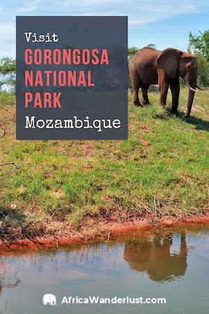 If you travel to Mozambique, do not miss out on the national park to experience the best safari attractions. You can learn more about these attractions in this travel guide. #mozambique #africatravel #africadestinations #traveltips #traveldestinations #bucketlist #adventuretravel #travelguide #solotravel #solofemaletravel #solotraveltips