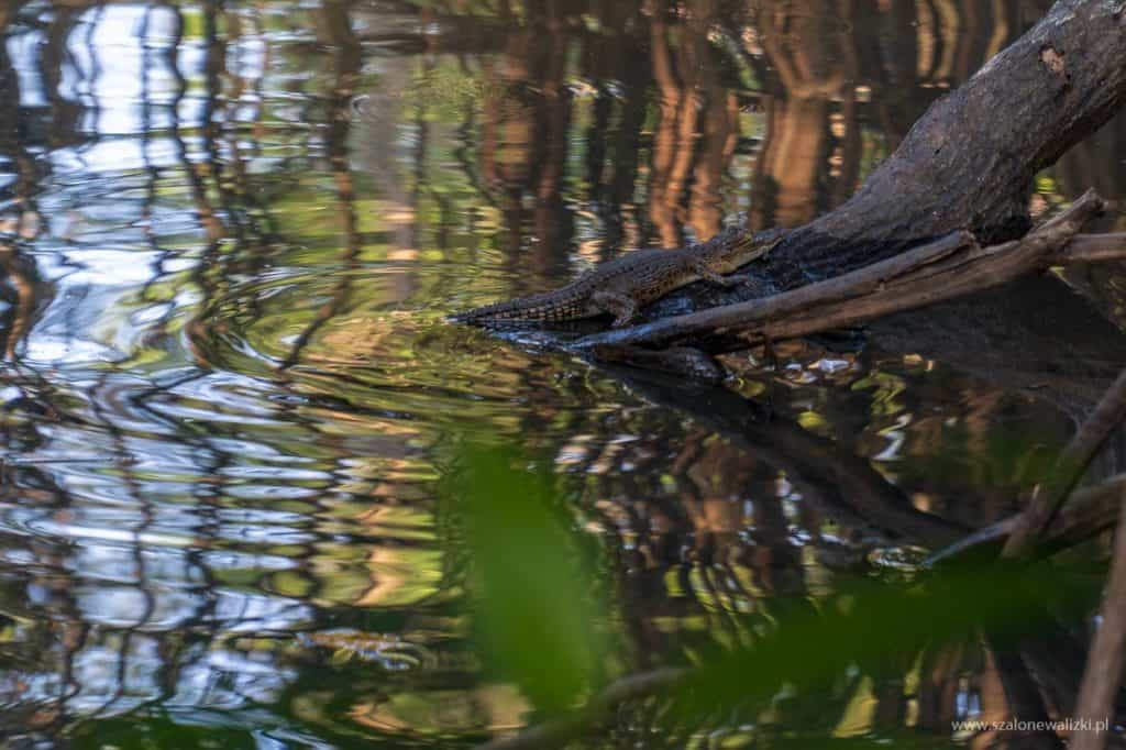 polskie noclegi na sri lance