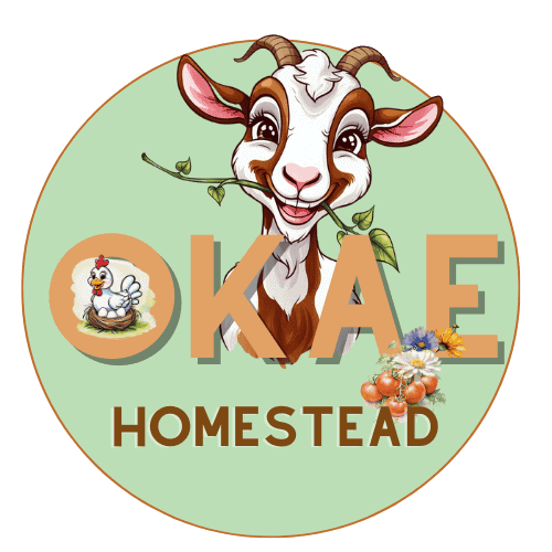 Letters O, K, A, E in front of a cartoon goat with a plant in its mouth, a chicken on eggs in a nest is inside the O and the word Homestead along the bottom of logo
