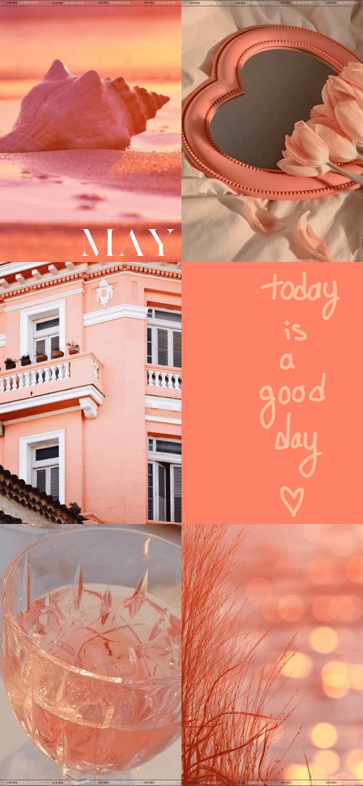 Aesthetic Coral May 2024 Phone Wallpaper