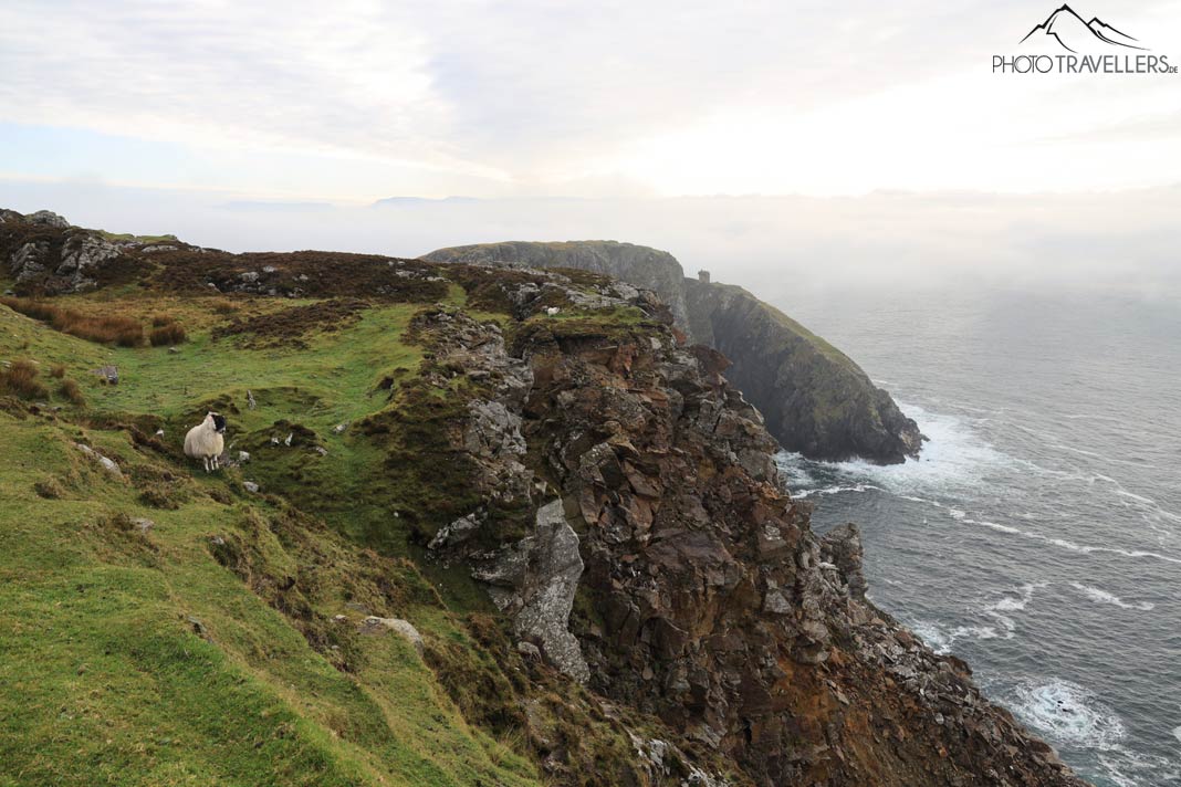 Unbearbeitetes Testbild der Canon EOS R von einem Küstenstreifen in Irland