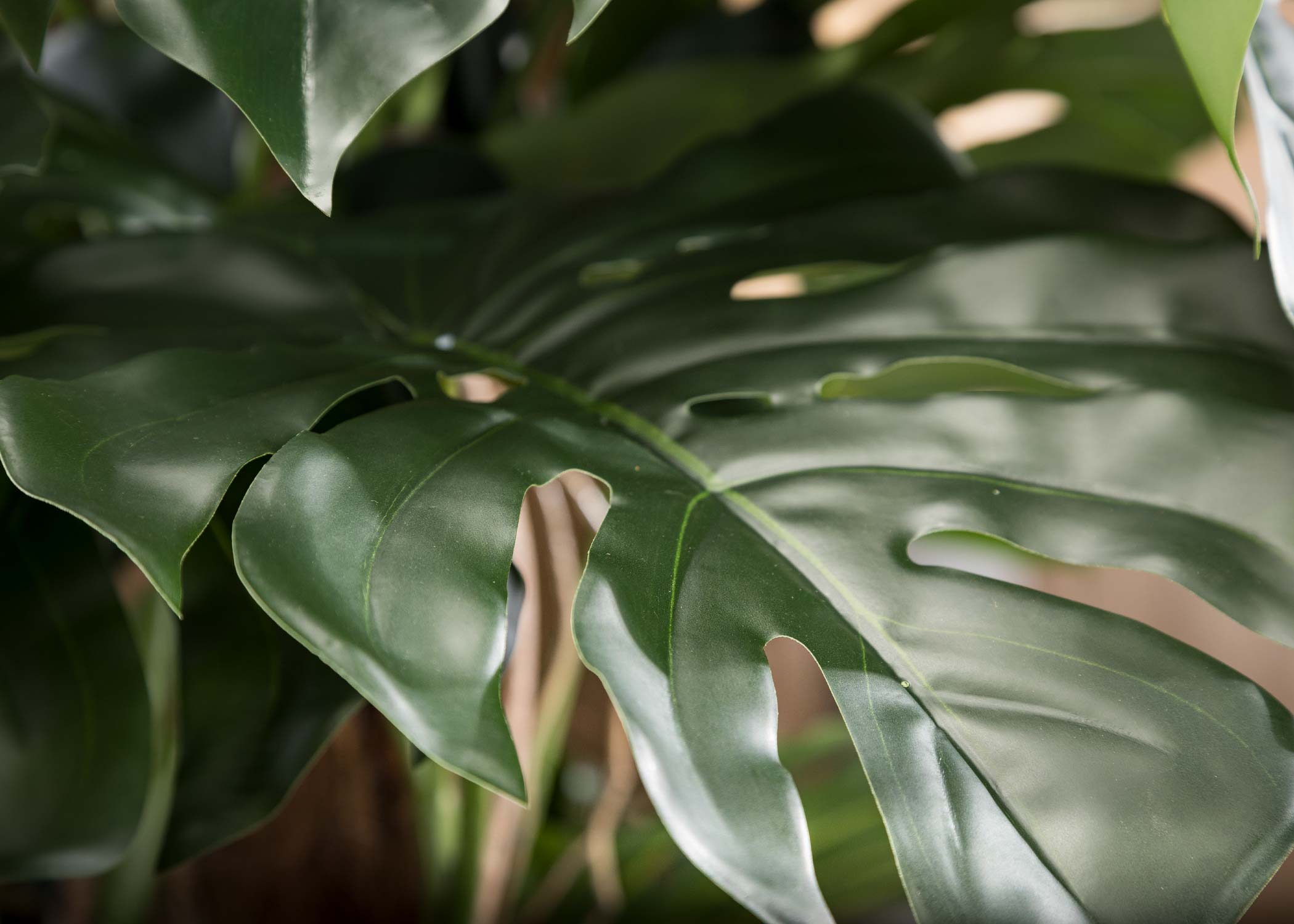Filodendro-Monstera-Artificiale-Alto-Qualità-Foglie