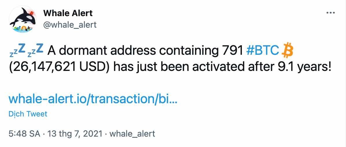 A wallet containing 791 Bitcoins has just 'revived' immediately after 9 many years of immobility 2 Whale Alert's tweet announces an activated Bitcoin wallet after 9.1 years of downtime. Screenshots.