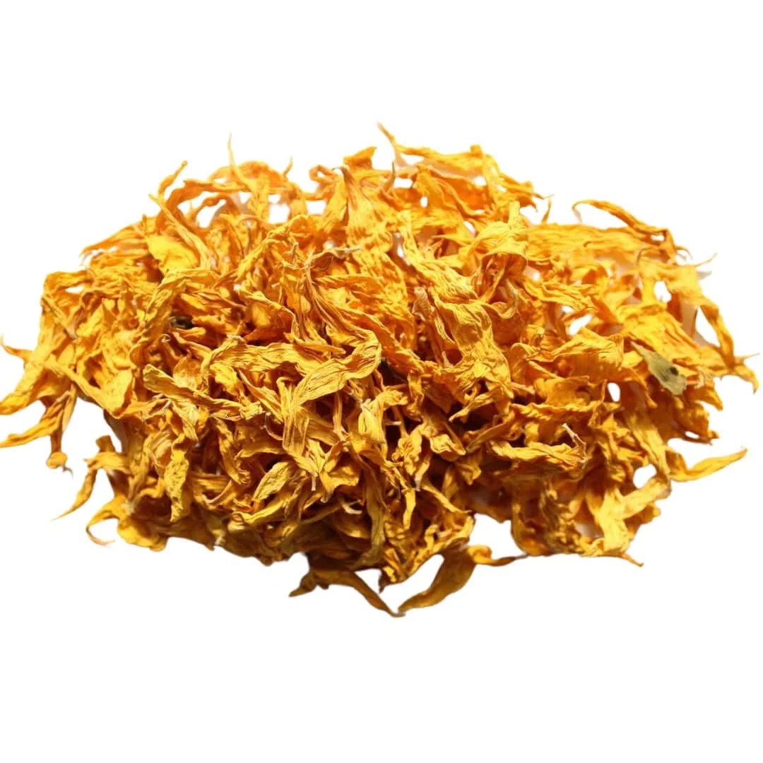 Welcome to Leo Season 12 Kjahli