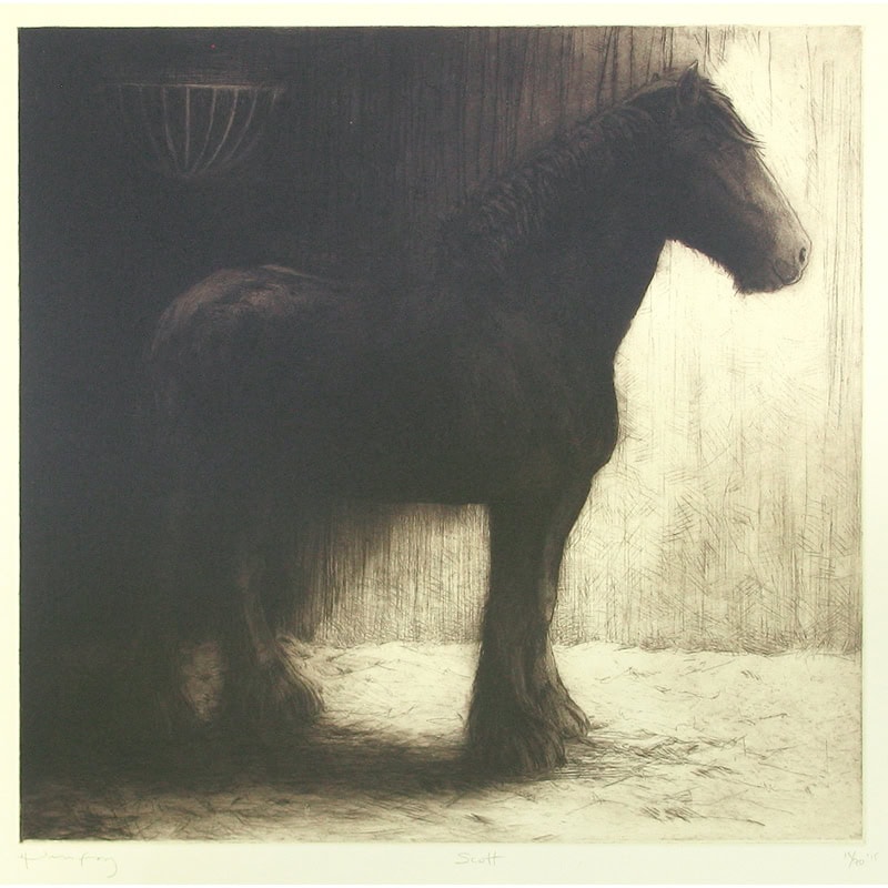 C4671 Scott – Helen Fay