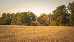 Hochzeitslocation Haus Runde 2 Ein Steinhaus mit rotem Dach in der Nähe von Münster steht neben goldenem Weizen, perfekt für die Freie Trauung.