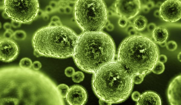 bio hazard, black mold, covid 19, covid 19 cleaners, covid 19 cleaning