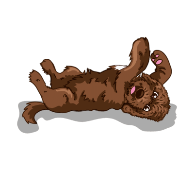 Raising puppies to be a go anywhere dog®