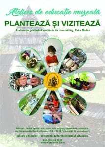 36652461_2069402369769025_6793850144363118592_n