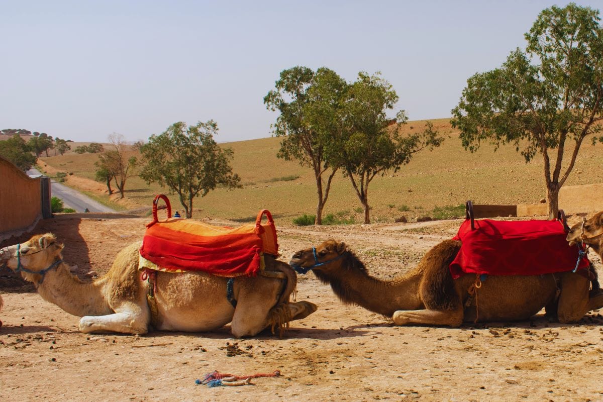 marrakech bucket list