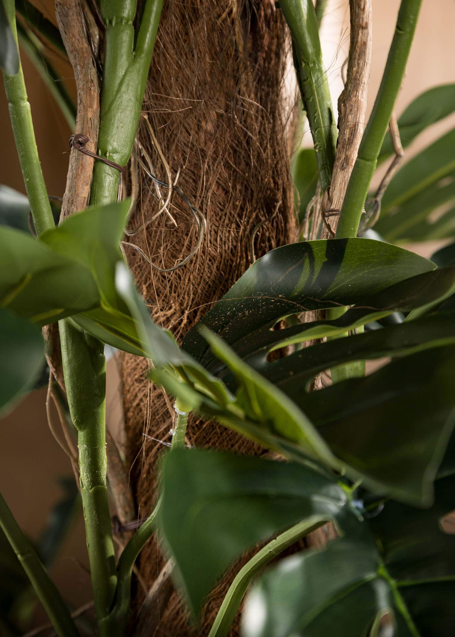 Filodendro-Monstera-Artificiale-Alto-Dettaglio-Tronco