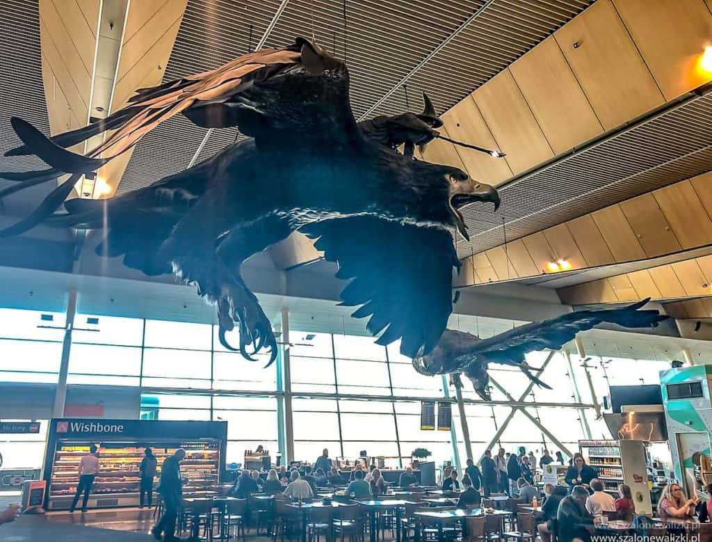 wellington w nowej zelandii