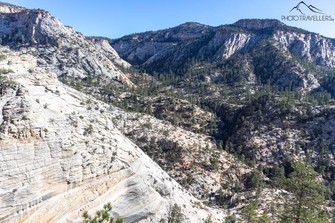 Der Blick über die Berge im Zion Nationalpark