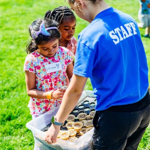 animal-cones-animal-feeding Host Options
