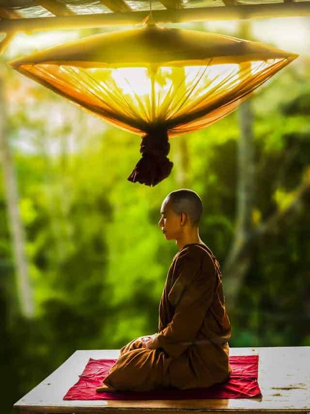 Explore the Best Spiritual Directory at The Mind Body Spirit Network