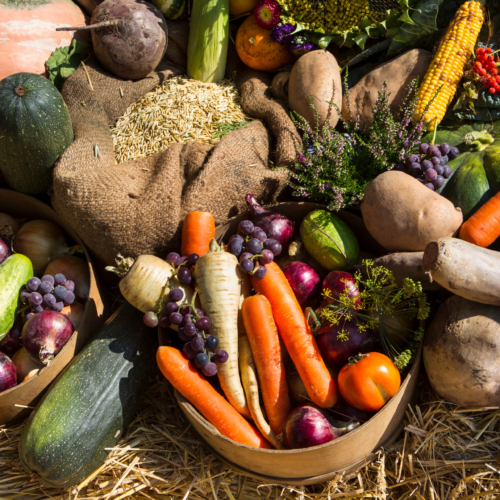 Biodiversity and food