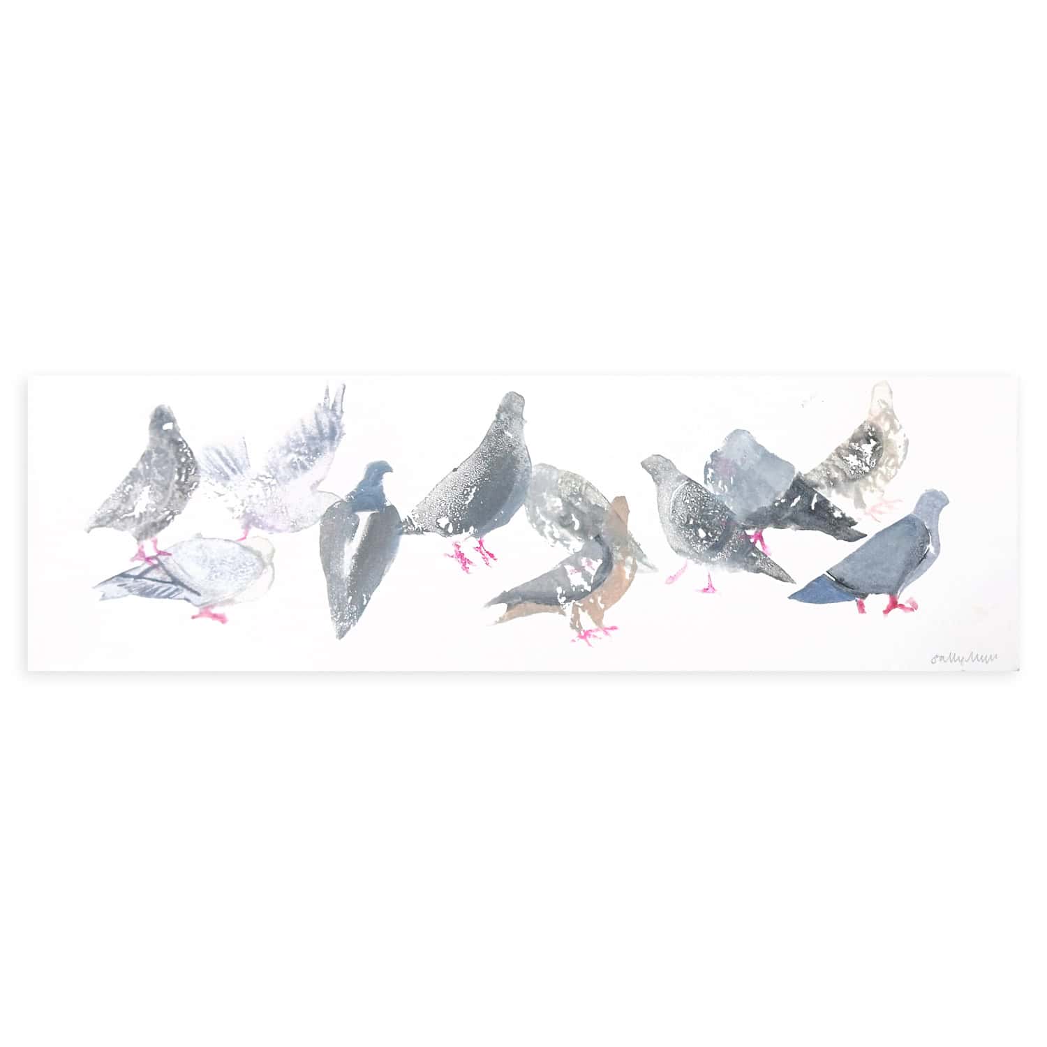 4715C Flock of Eleven Pigeons – Sally Muir