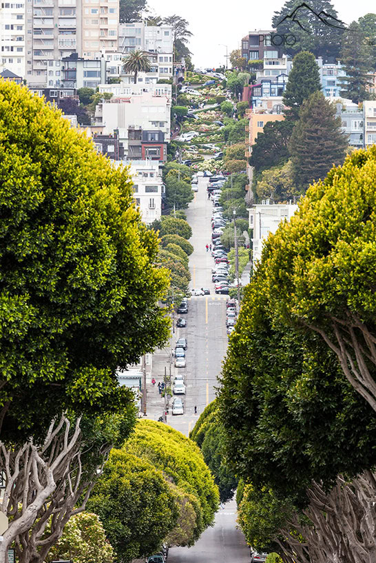 Der Blick auf die Lombard Street