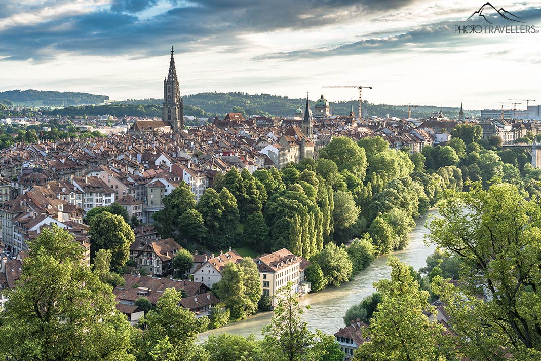 Blick vom Rosengarten auf die Stadt
