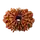 15 Mukhi Rudraksha
