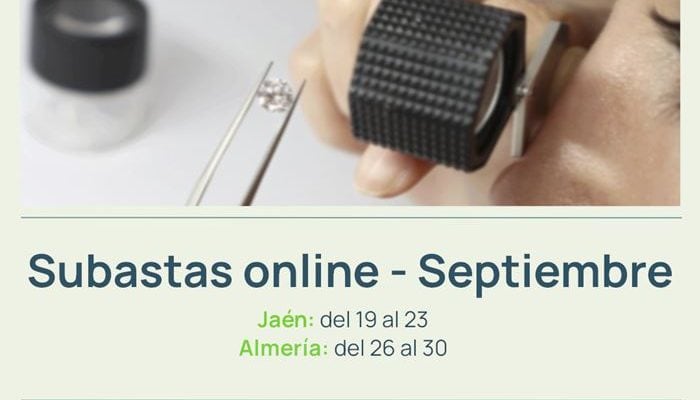 Monte Activo - Subastas online de joyas julio 2024 - Calendario