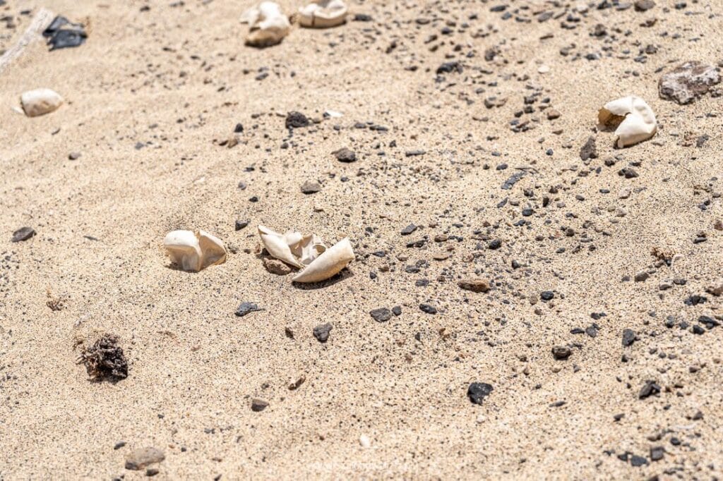 wyspy zielonego przylądka