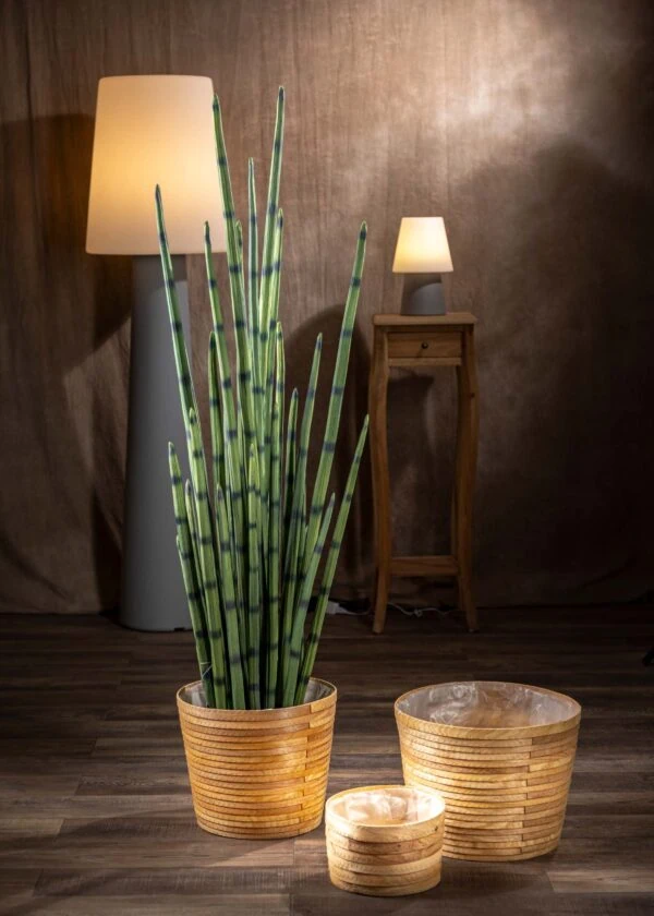 Sanseveria artificiale - Vista frontale - Dettaglio foglie cilindriche verde intenso con striature scure
