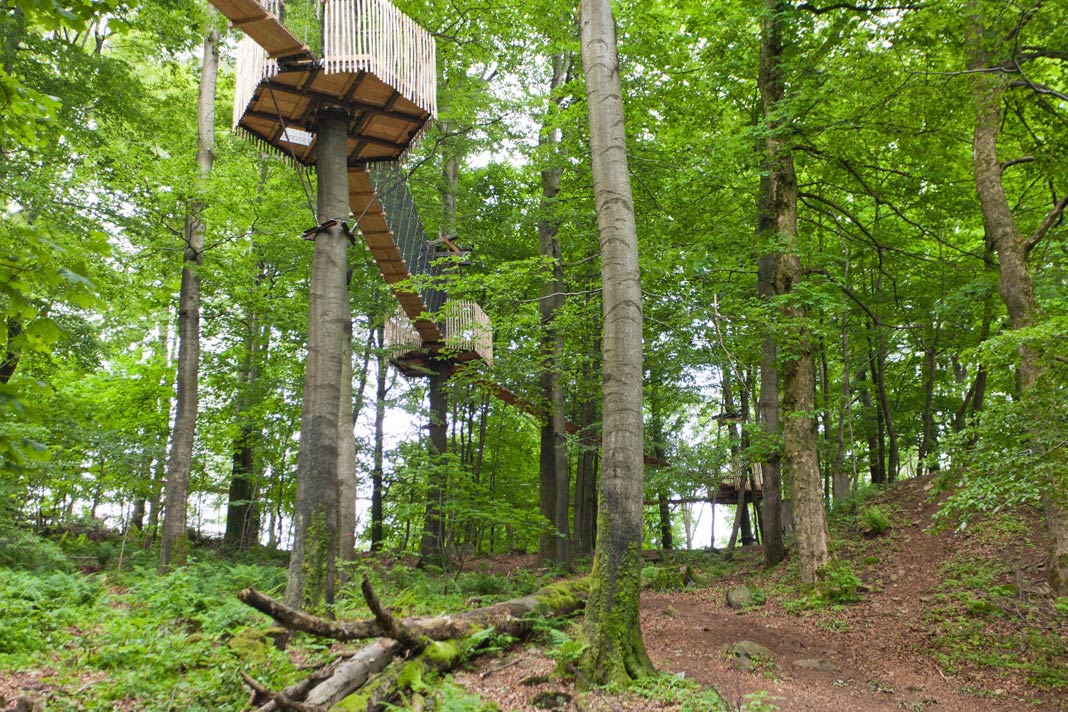 Die Hängebrücken vom Baumkronenpfad Hoherodskopf