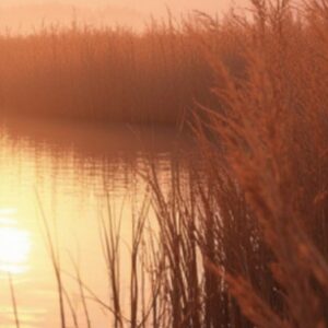 Global Nature Fund gibt Start des EUROLakes Replication Calls bekannt