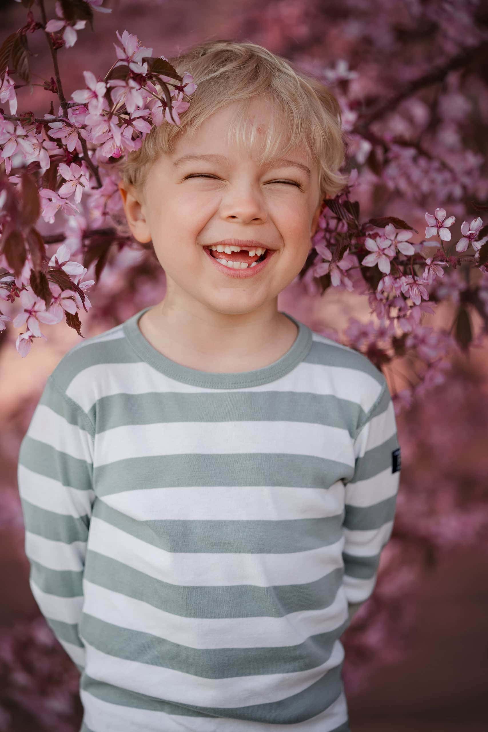 Niki Strbian perhekuvaaja Helsinki kirsikkakukat Roihuvuoren kirsikkapuisto 11 scaled