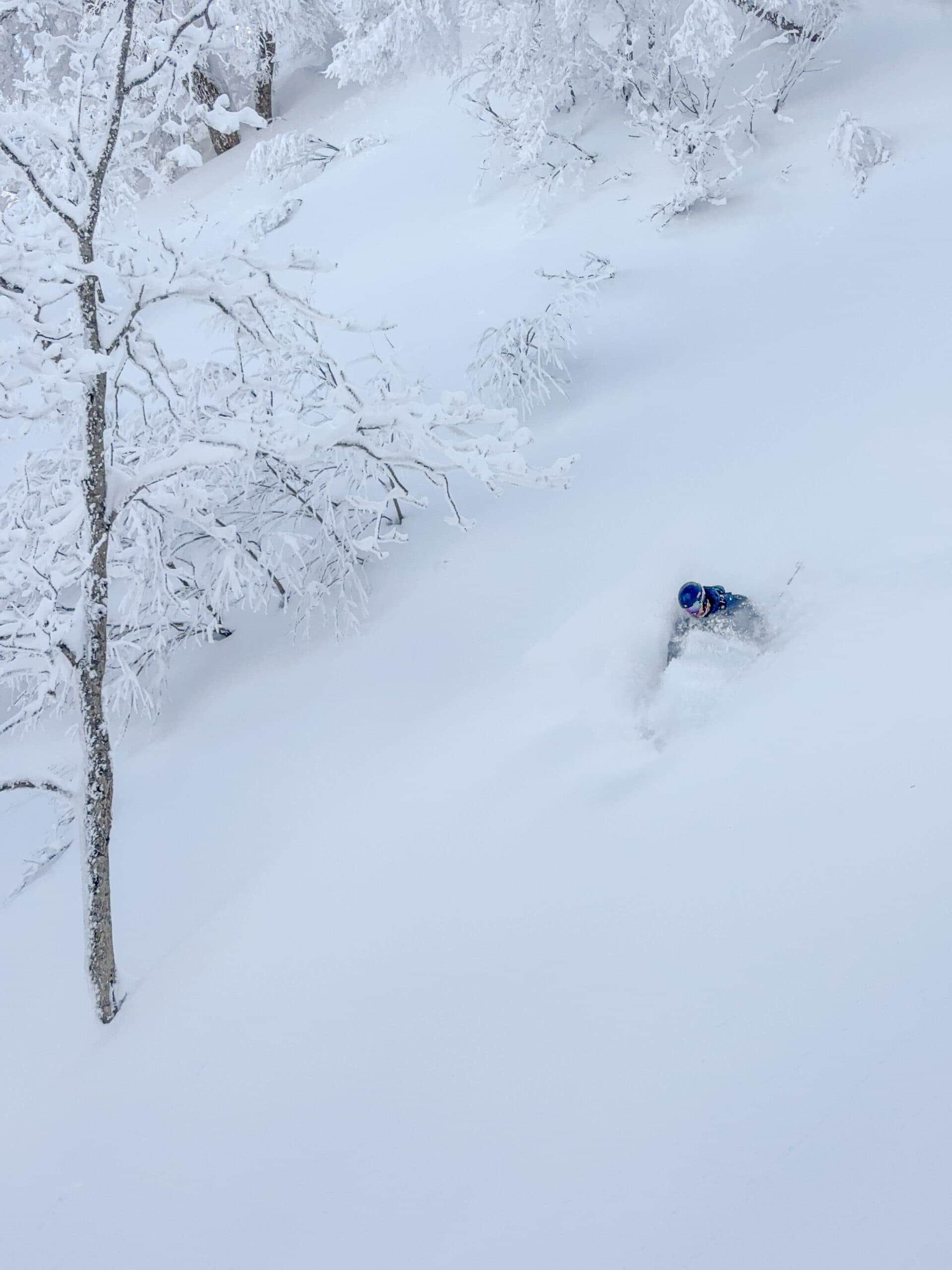 Skifahren in Japan mit tiefem Pulverschnee