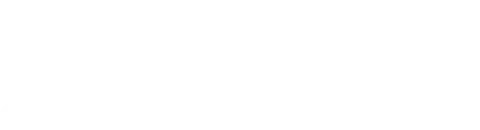 logo nieuwenhuis white
