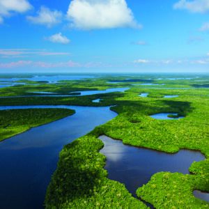 Feuchtgebiete als globale Lösung für Klima- und Biodiversitätskrise anerkannt