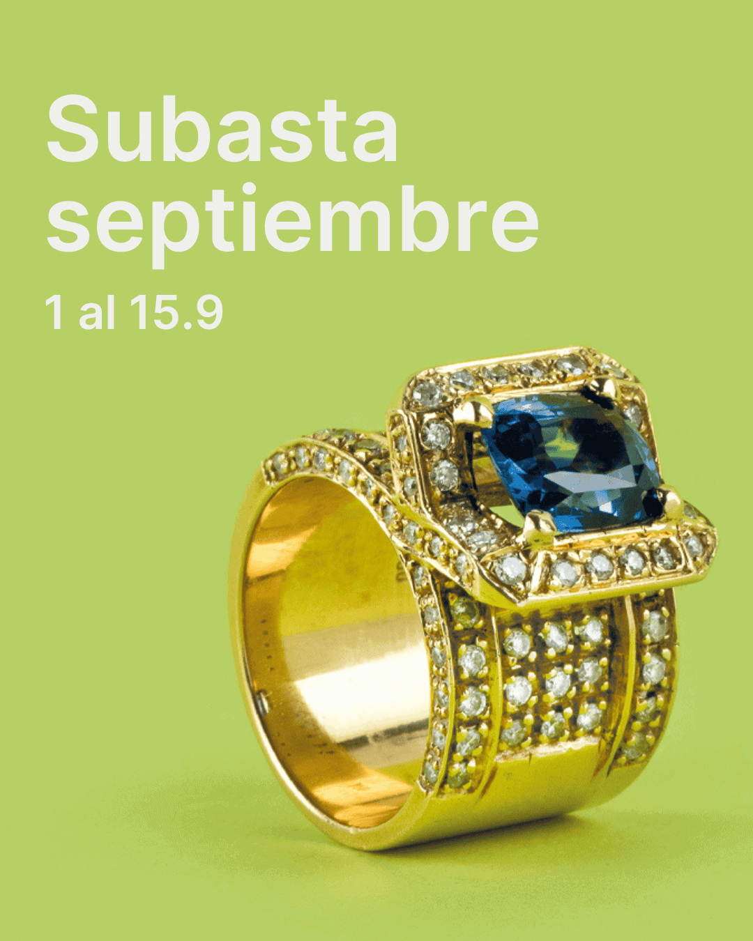 elMONTE - Fundación Montemadrid - Subasta septiembre 2025