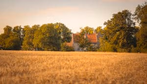 Hochzeitslocation Haus Runde 2 Ein Steinhaus mit rotem Dach in der Nähe von Münster steht neben goldenem Weizen, perfekt für die Freie Trauung.