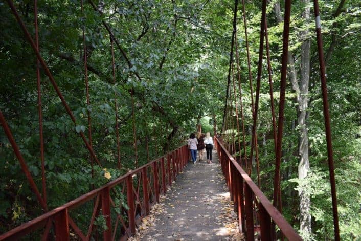 Aleea de Cura Balneara Calimanesti Aleea Geniului pod
