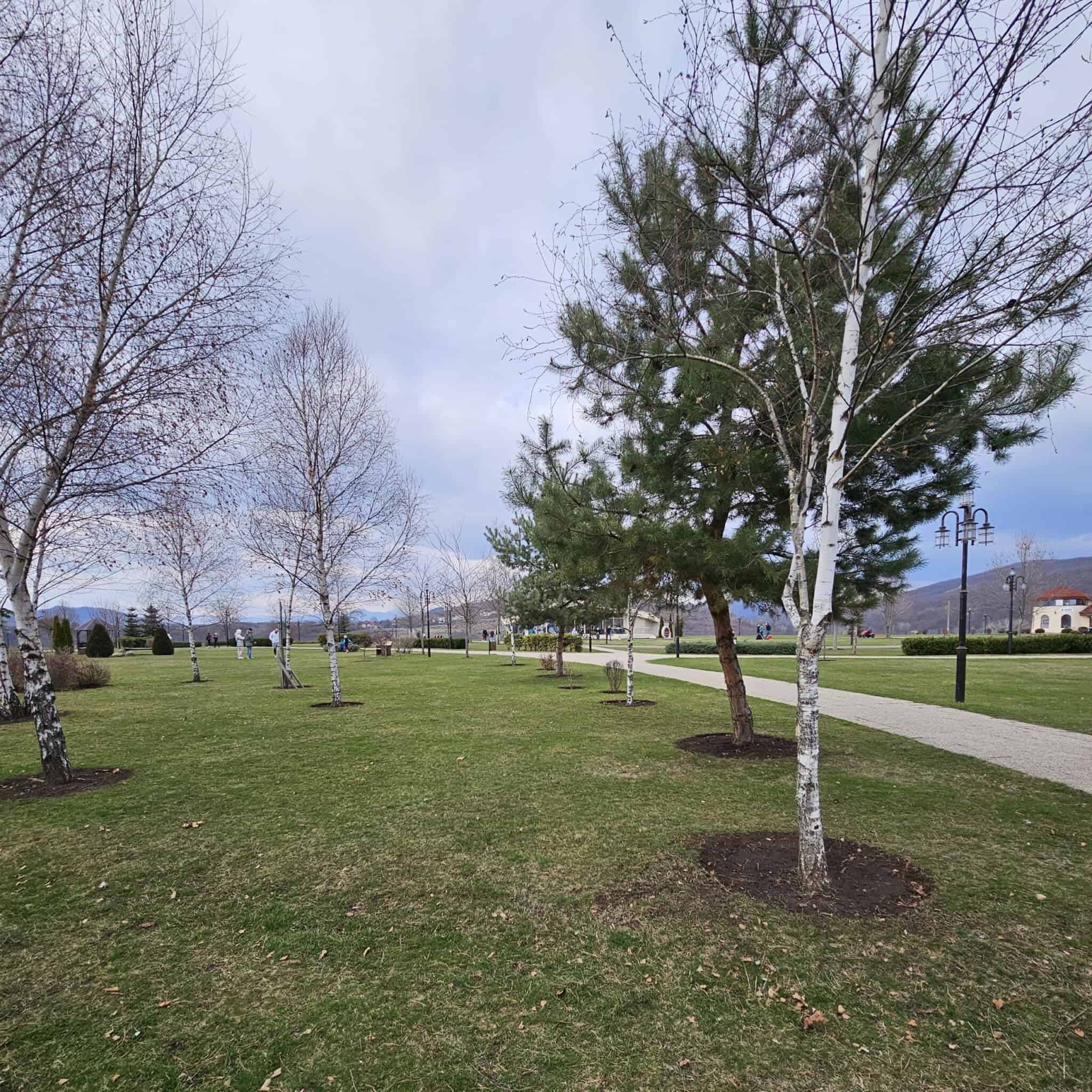 Parcul Soceram, Câmpina