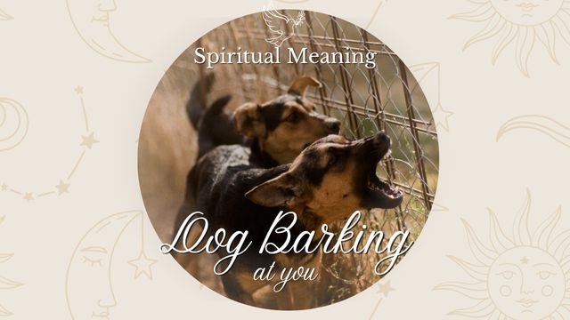 UNDERSTANDING WHY A DOG IS BARKING AT YOU: A SPIRITUAL PERSPECTIVE 3 spiritual meaning of a dog barking