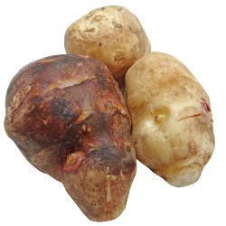 napi topinambur, anghinare de Ierusalim Jerusalem artichoke (sunchoke) topinambour tupinambo gokid legume ordonate alfabetic